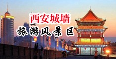 爆乳爆浆中国陕西-西安城墙旅游风景区